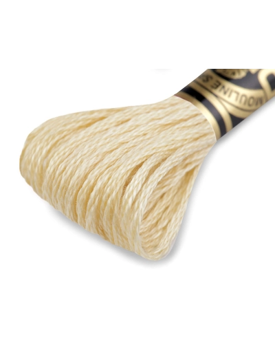 Vyšívacia priadza DMC Mouliné Spécial Cotton - 1 ks | Mimib