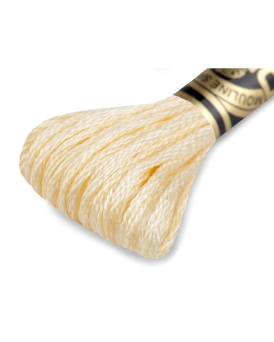 Vyšívacia priadza DMC Mouliné Spécial Cotton - 1 ks | Mimib