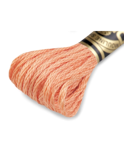 Vyšívacia priadza DMC Mouliné Spécial Cotton - 1 ks | Mimib