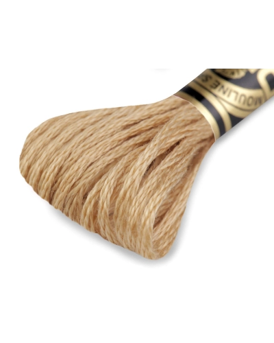 Vyšívacia priadza DMC Mouliné Spécial Cotton - 1 ks | Mimib