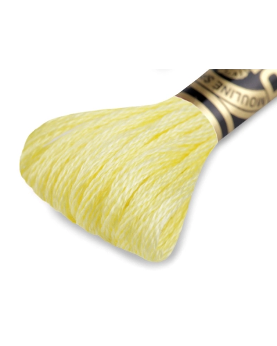 Vyšívacia priadza DMC Mouliné Spécial Cotton - 1 ks | Mimib