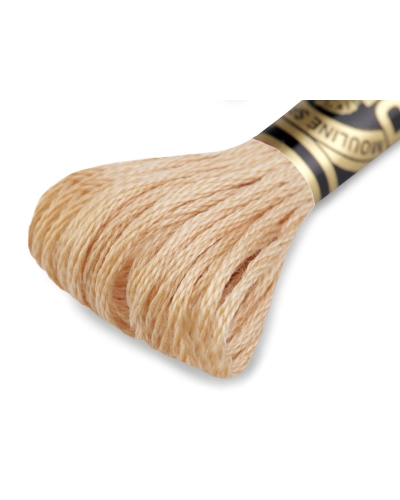 Vyšívacia priadza DMC Mouliné Spécial Cotton - 1 ks | Mimib