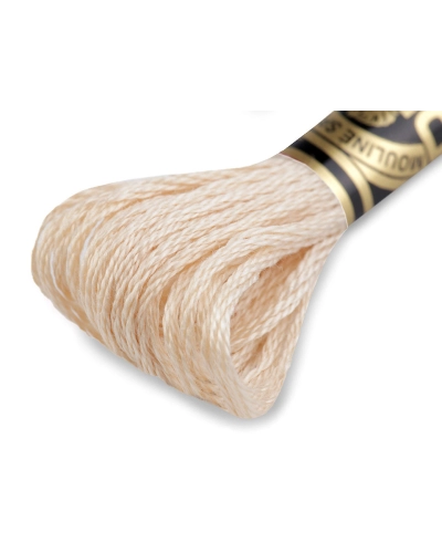 Vyšívacia priadza DMC Mouliné Spécial Cotton - 1 ks | Mimib