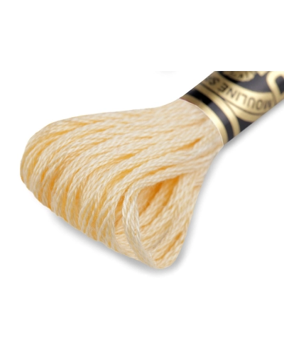 Vyšívacia priadza DMC Mouliné Spécial Cotton - 1 ks | Mimib