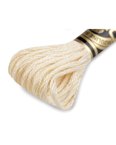 Vyšívacia priadza DMC Mouliné Spécial Cotton - 1 ks | Mimib