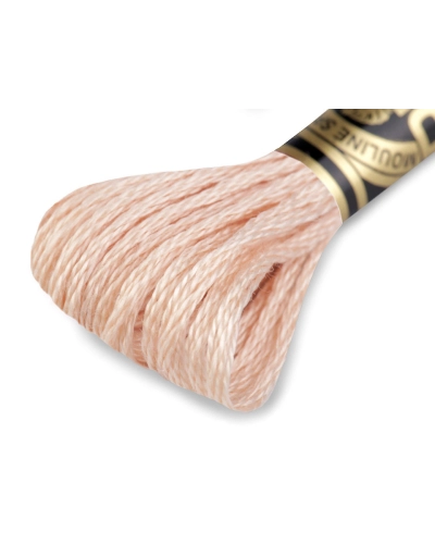 Vyšívacia priadza DMC Mouliné Spécial Cotton - 1 ks | Mimib