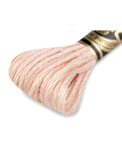 Vyšívacia priadza DMC Mouliné Spécial Cotton - 1 ks | Mimib