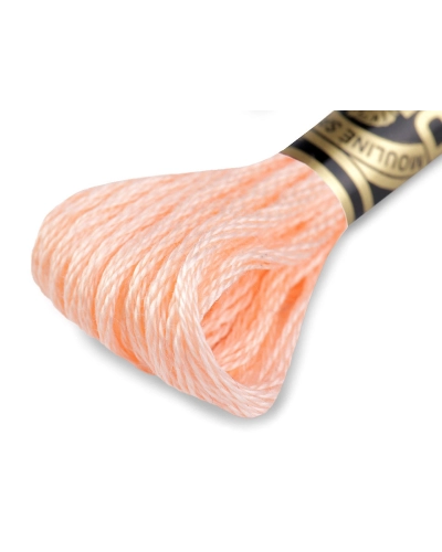 Vyšívacia priadza DMC Mouliné Spécial Cotton - 1 ks | Mimib
