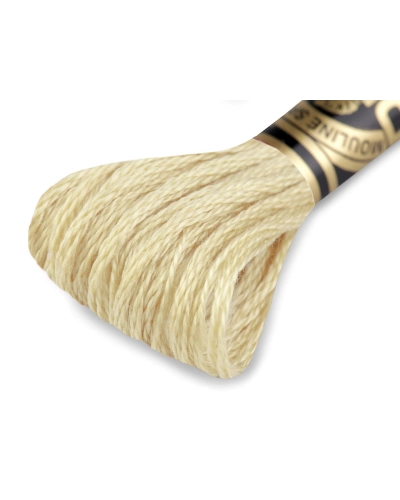 Vyšívacia priadza DMC Mouliné Spécial Cotton - 1 ks | Mimib