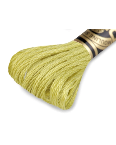 Vyšívacia priadza DMC Mouliné Spécial Cotton - 1 ks | Mimib