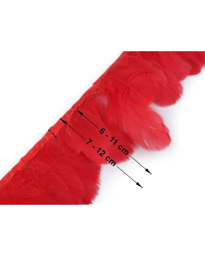 Prámik - husacie perie 6-11 cm - 1 m | Mimib