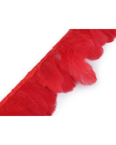 Prámik - husacie perie 6-11 cm - 1 m | Mimib