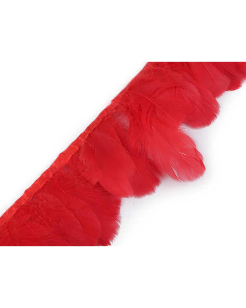 Prámik - husacie perie 6-11 cm - 1 m | Mimib