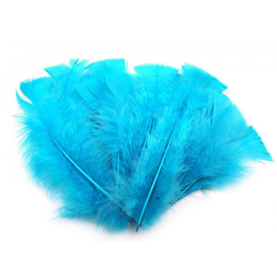 Morčacie perie dĺžka 11-17 cm | Mimib