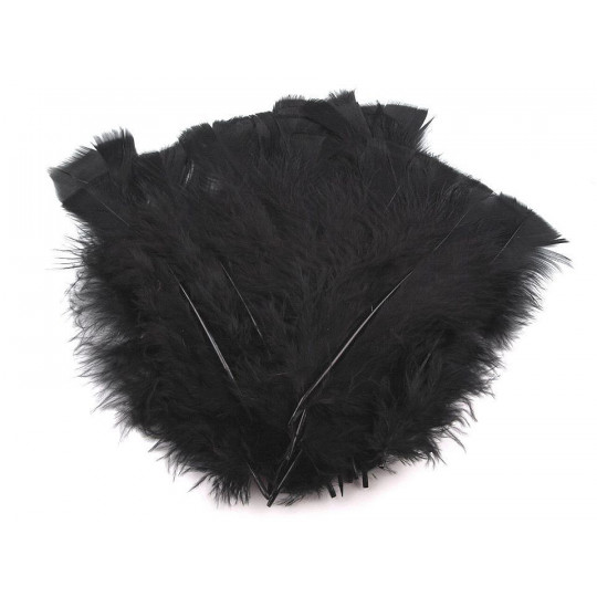 Morčacie perie dĺžka 11-17 cm | Mimib