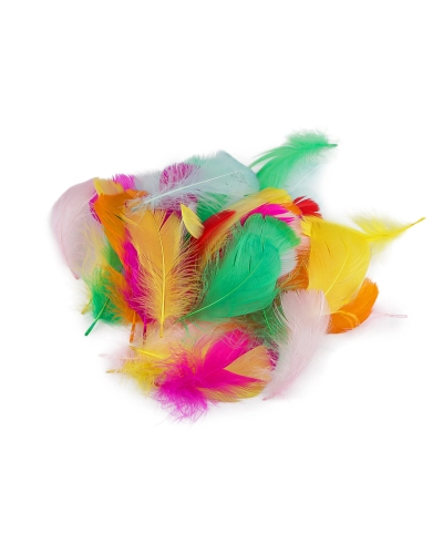 Husacie perie mix dĺžka 8-13 cm - 1 sáčok | Mimib