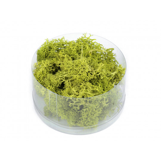 Stabilizovaný / preparovaný mach 20 g v krabičke | Mimib