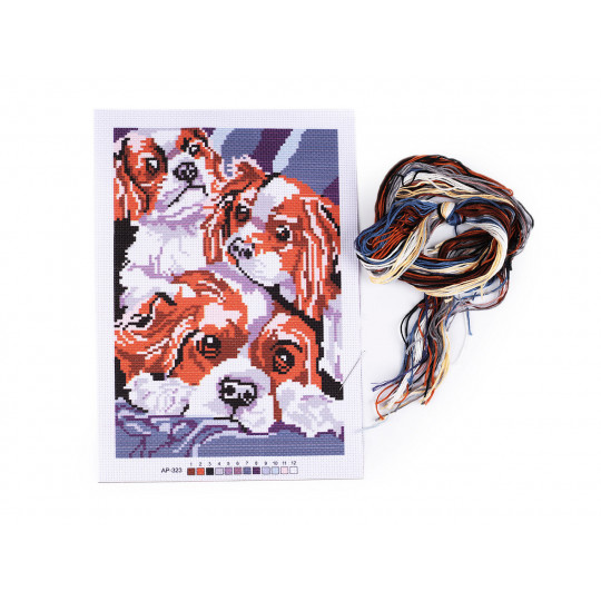 Sada vyšívania - predloha, ihla, mouline | Mimib