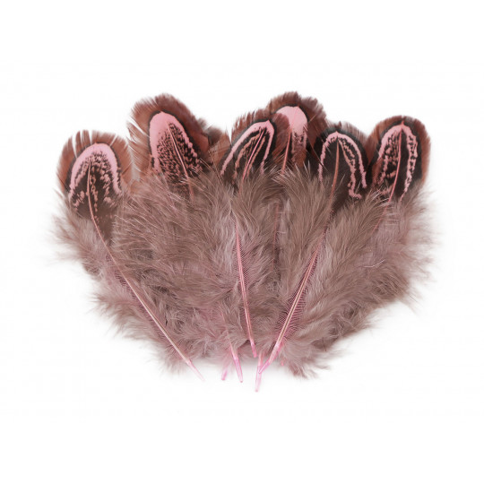 Bažantie perie dĺžka 5-7 cm | Mimib