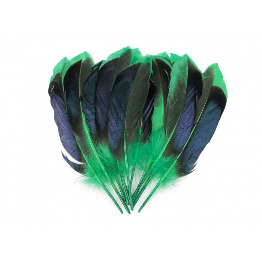 Kačacie perie dĺžka 13-15 cm | Mimib