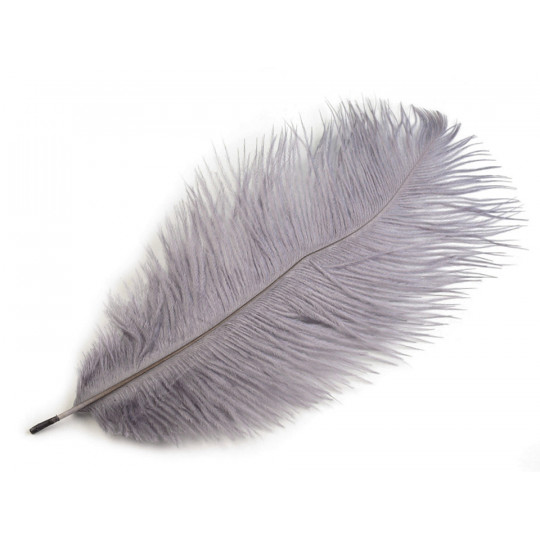 Pštrosie perie dĺžka cca 20-25 cm | Mimib