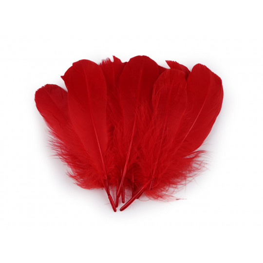 Husacie perie dĺžka 14-18 cm - 10 ks | Mimib