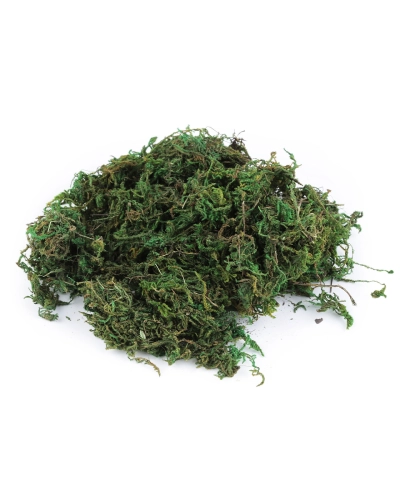 Dekoračný prírodný mach 250 g - 1 sáčok | Mimib