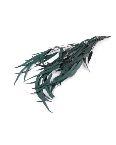 Stabilizovaný eukalyptus zväzok - 1 zväzok | Mimib