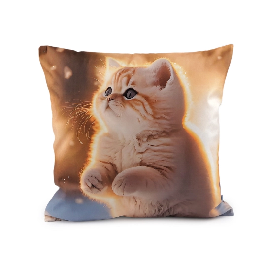 Zamatová obliečka na vankúš pes, mačka 45x45 cm - 1 ks | Mimib