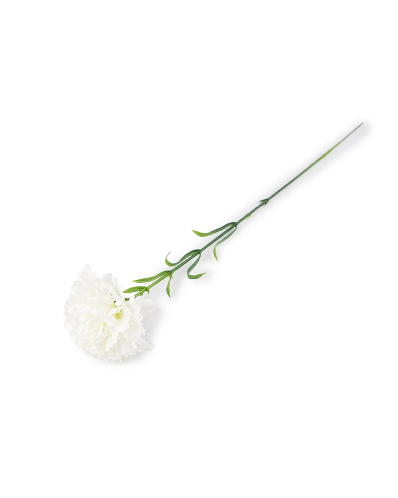 Umelý klinček - 1 ks | Mimib