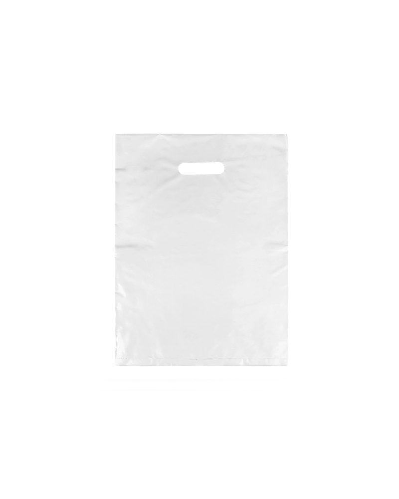 Igelitová taška 20x30 cm - 50 ks | Mimib