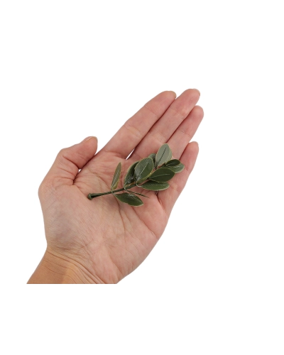 Umelá mini vetvička buxus na aranžovanie a tvorbu voničiek - 20 ks | Mimib