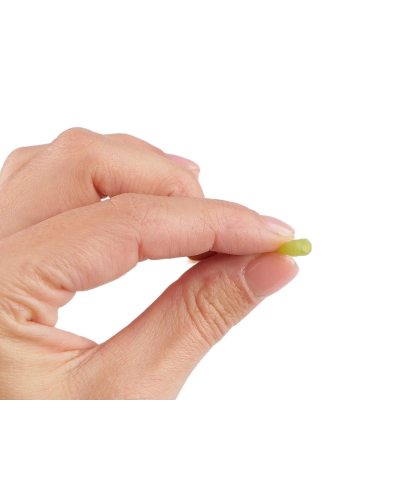 Umelý list eukalyptus na aranžovanie - 20 ks | Mimib