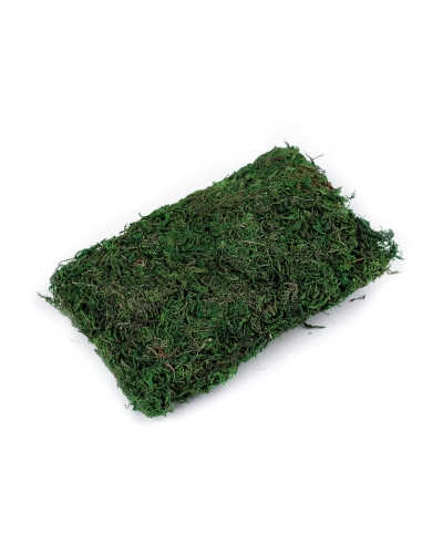 Dekoračný mach 50 g - 1 ks | Mimib