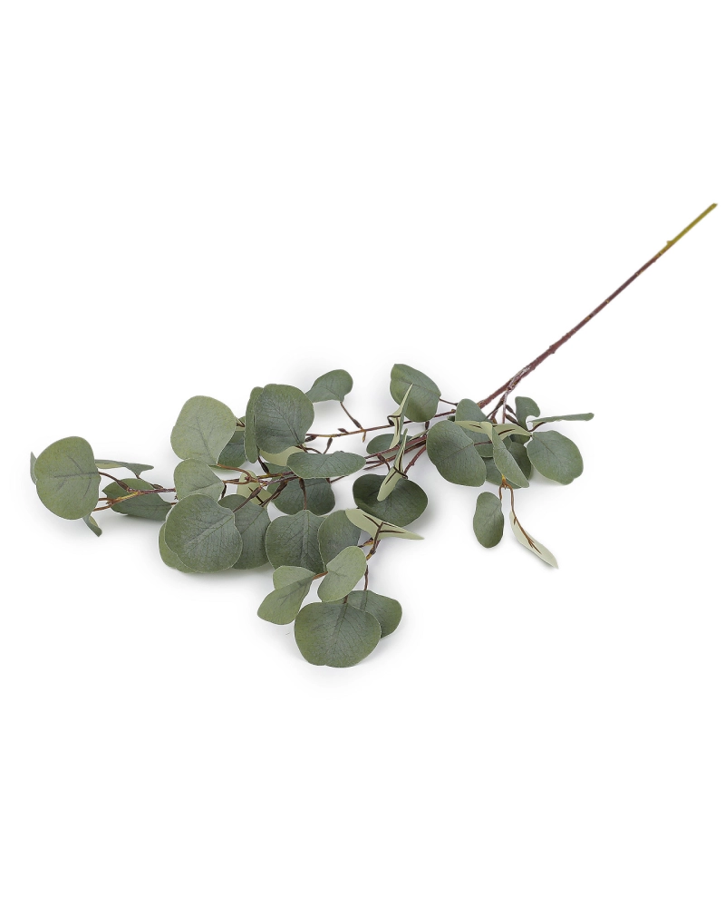 Umelý eukalyptus - 1 zväzok | Mimib