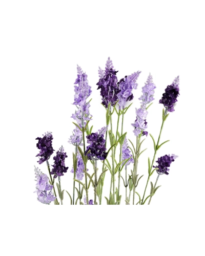 Umelá levanduľa v prútenom kvetináči, výška 78 cm - 1 ks | Mimib