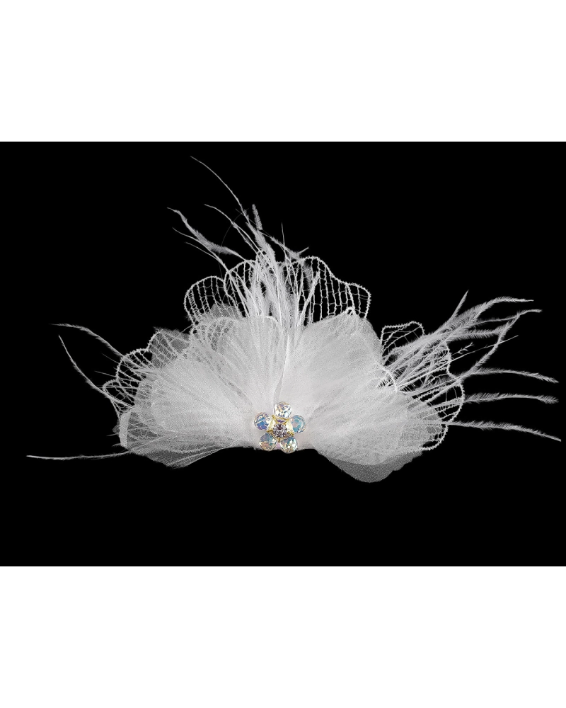 Brošňa so sklenenými brúsenými korálikmi a perím - 1 ks | Mimib