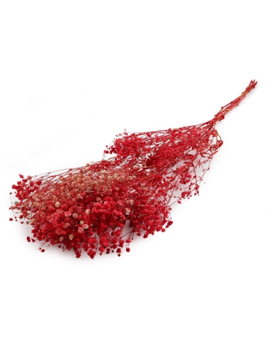 Stabilizovaný nevestin závoj zväzok - 1 zväzok | Mimib