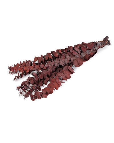 Stabilizovaný eukalyptus zväzok - 1 zväzok | Mimib