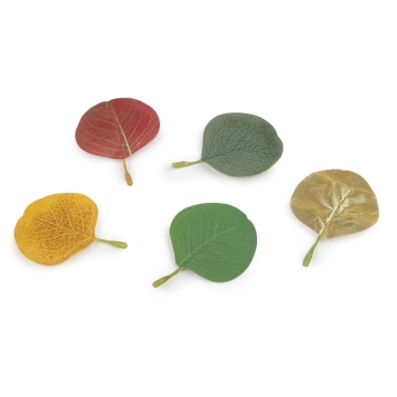 plody, bobule a listy