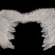 Anjelské krídla 35x45 cm 1ks