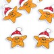 Drevený dekoračný gombík vianočný cezmína, hviezda, čiapka 10ks