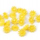 Plastové gombíky / korálky kvet Ø15 mm 20ks