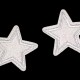 Nažehlovačka hviezda s glitrami 10ks