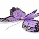 Karnevalový kostým - motýľ 1sada