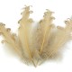 Husie perie kučeravé dĺžka 12-18 cm4 - 4ks