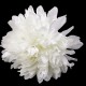 Textilný kvet chryzantéma Ø15 cm na výrobu smútočných vencov, kytíc 1ks