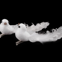 Dekorácia holubica s kučeravým perím, s klipom 2ks