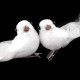 Dekorácia holubica s kučeravým perím, s klipom 2ks