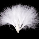 Perie marabu dĺžka 5-12 cm 1sáčok